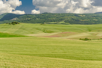 Perfect panorama of green hills with blue sky and fluffy clouds