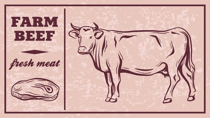 Label of meat products. Beef