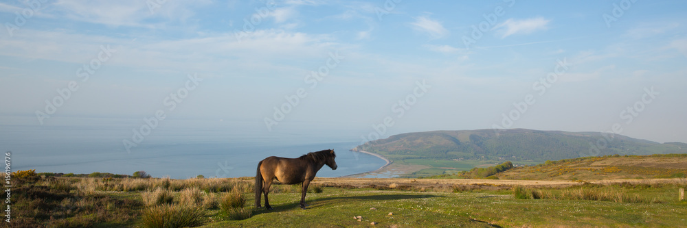 Sticker Exmoor national park panoramic view with pony towards Porlock Somerset coast on a summer evening 