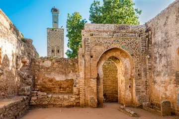Papier Peint photo Rudnes In the ruins of mosque in ancient Chellah near Rabat ,Morocco