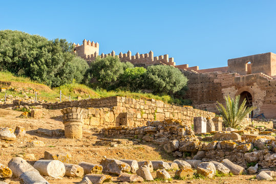 View at the ruins of Chellah (Sala Colonia) in Rabat ,Morocco