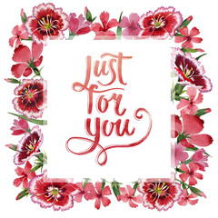 Obraz premium Wildflower carnation flower frame in a watercolor style isolated.