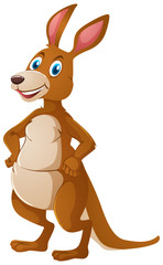 Kangaroo with happy face