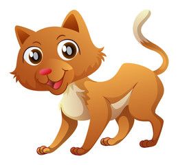 Obraz premium Little cat with happy face