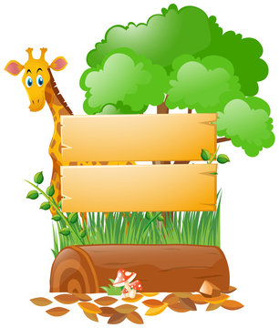 Wooden sign template and giraffe in forest