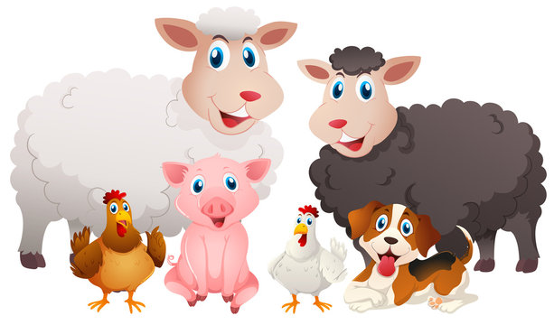 Different types of farm animals