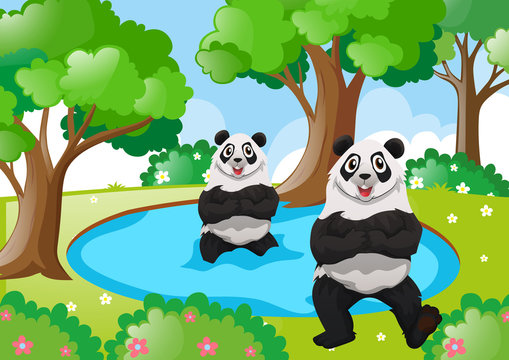 Two pandas in the forest