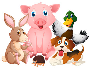 Obraz na płótnie Canvas Farm animals in group