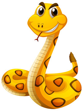 Wild snake with yellow skin