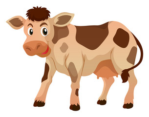 Cute cow standing on white background