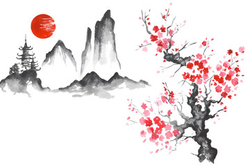 Japan Traditional japanese painting Sumi-e art Sakura