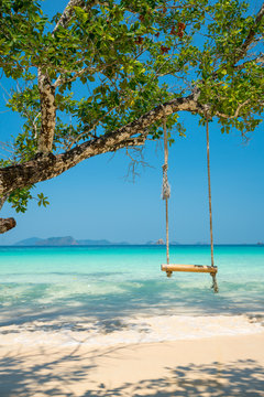 Fototapeta swing hang on big tree over beach sea