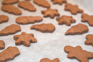 Freshly Baked Homemade Cutout Cookies