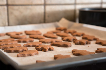 Freshly Baked Homemade Cutout Cookies