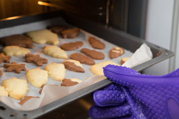 Freshly Baked Homemade Cutout Cookies