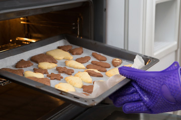 Obraz na płótnie Canvas Freshly Baked Homemade Cutout Cookies
