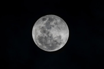 Full moon grey on black