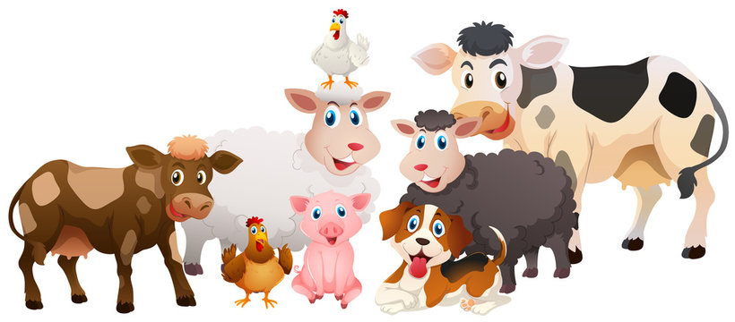 Many types of farm animals