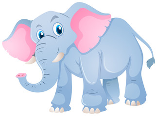 Blue elephant on white background