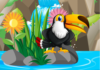 Naklejka premium Toucan bird by the waterfall
