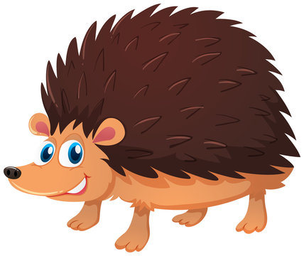 Hedgehog Drawing Images – Browse 21,696 Stock Photos, Vectors, and Video |  Adobe Stock