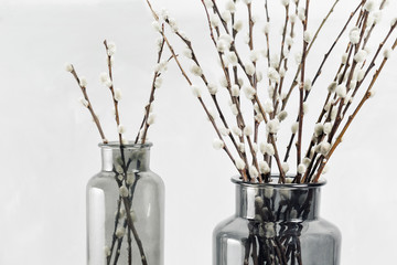 willow branches in glass vases on a wooden gray table-top. selective focus