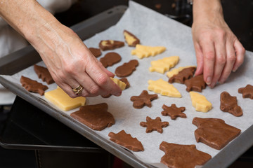 Obraz na płótnie Canvas Variety Of Cutout Cookie Shapes