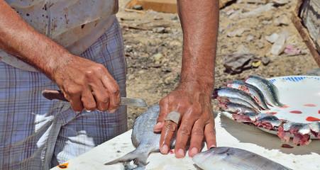 Man cleans fresh fish