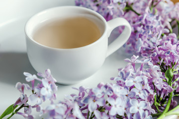 Springtime. Cup of tea and lilac morning bouquet on the table.  White background.