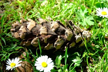 Boulogne Park, Paris