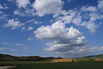 Obraz premium Paisajes de campos y cielos en verano.