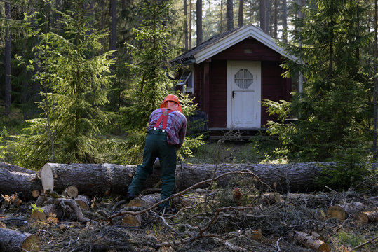 skog