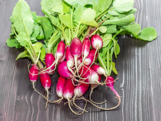Young radish on a wooden background