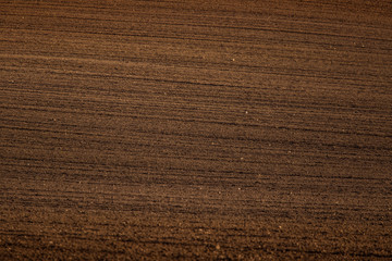 A beautiful brown pattern on a field in spring. Abstract, textured background