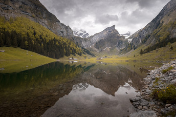 Spiegelnde Schweizer Berge im Seealpsee