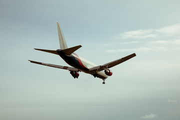 Plane