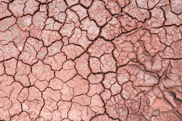 Dry cracked soil