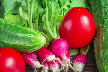 Vegetables close up. Cucumber, tomatoes, radish. Close up with selective focus.