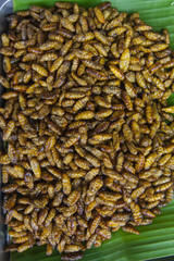 deep fried silk worms on banana leave