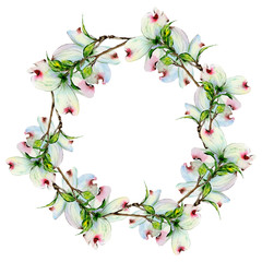 Obraz na płótnie Canvas Wildflower dogwood flower wreath in a watercolor style isolated.