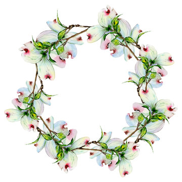Wildflower dogwood flower wreath in a watercolor style isolated.