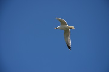Stock Foto