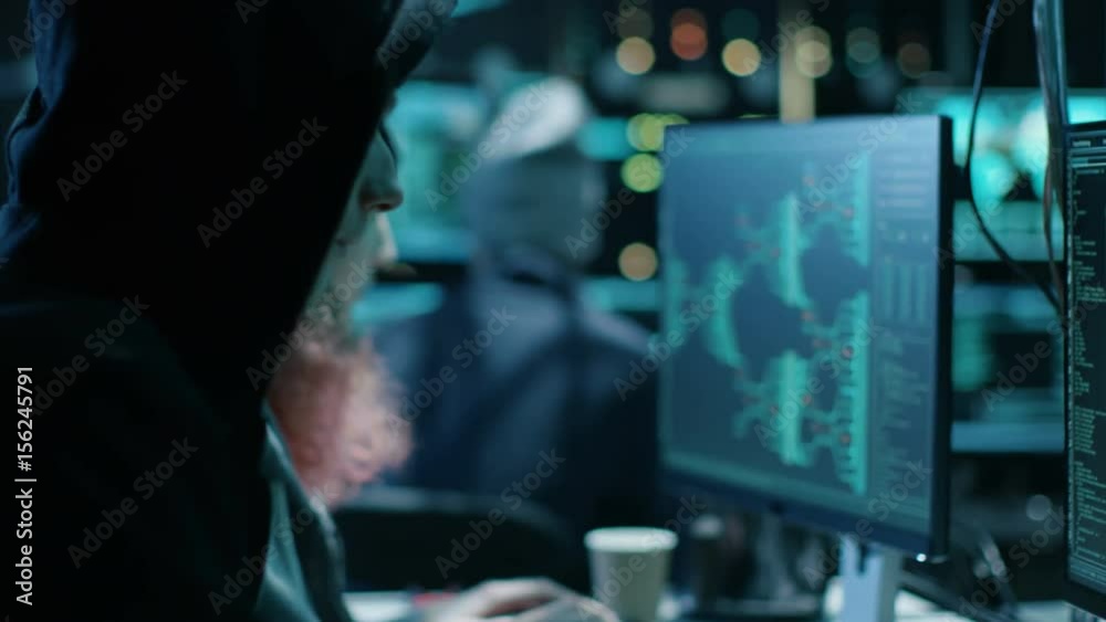 Poster team of internationally wanted boy and girl hackers organize advanced virus attack on corporate serv