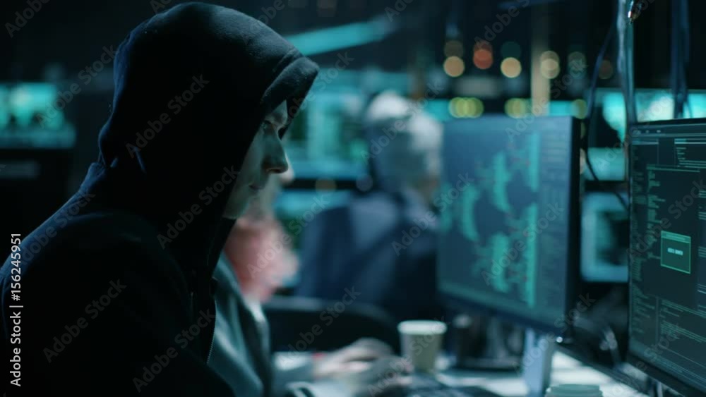 Poster team of internationally wanted boy and girl hackers organize advanced virus attack on corporate serv