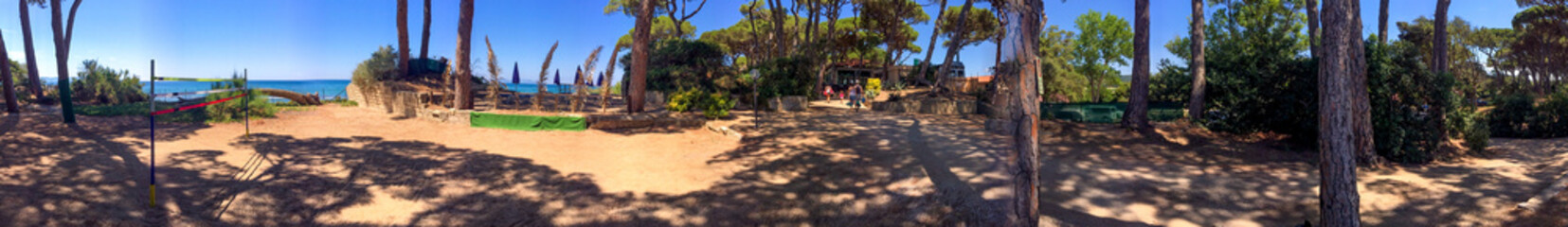 Beautiful panoramic view of Tuscany pinewood