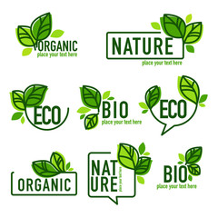 Fototapeta doodle organic leaves emblems, elements,  frames and logo obraz