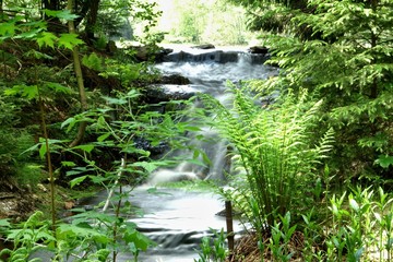 greifenbach