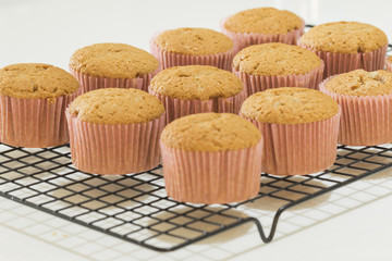 newly made cinnamon cupcakes in a cooling rack
