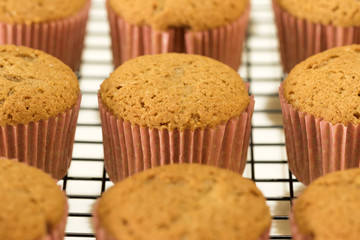 newly made cinnamon cupcakes in a cooling rack closeup