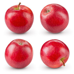 Red apple isolated on white. Collection. With clipping path.